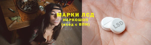 spice Новозыбков