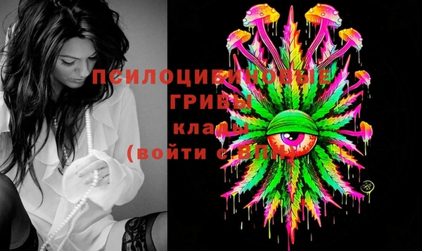 spice Новозыбков