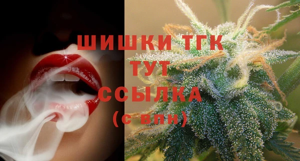 spice Новозыбков