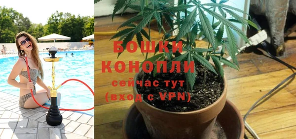 каннабис Новодвинск