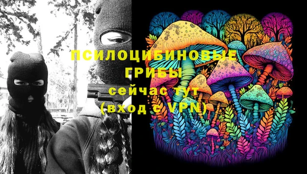 каннабис Новодвинск