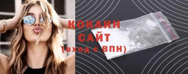 spice Новозыбков