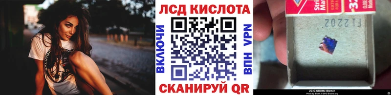 Купить закладки  Киров  Наркотические марки 1500мкг 