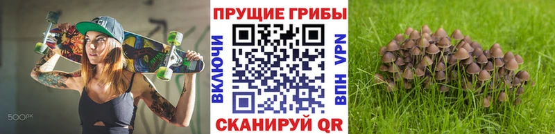 Псилоцибиновые грибы прущие грибы  Купить где  Киров 